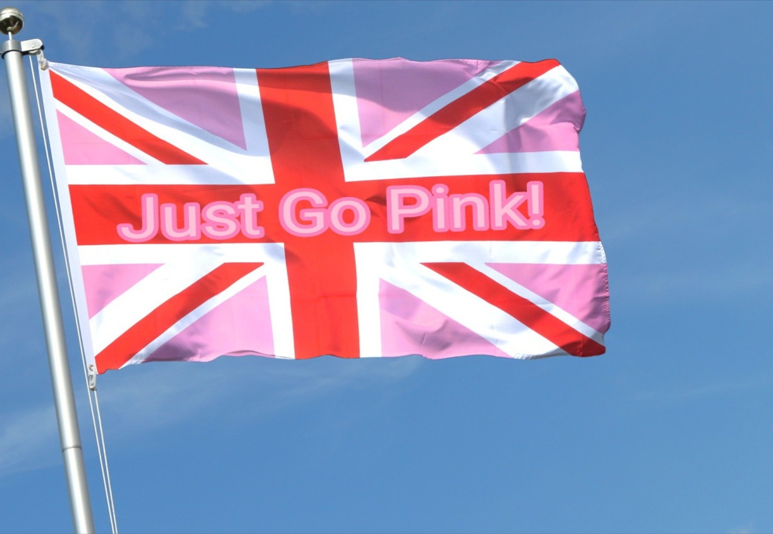 Just Go Pink flag
