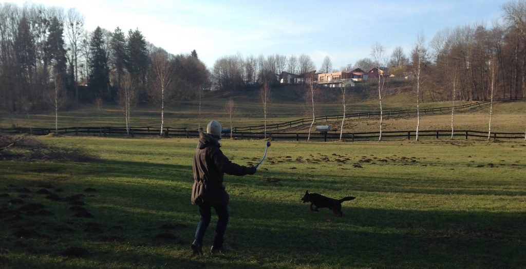 Christophe playing ball with Cooper