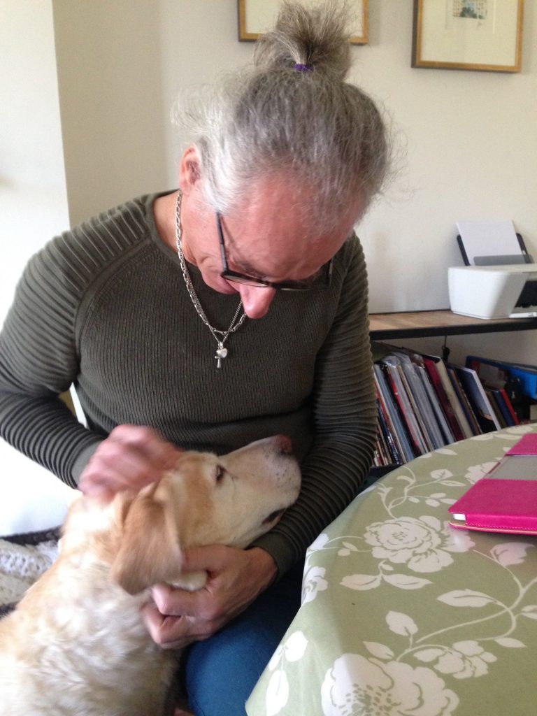 Christophe scratching Bella's ears Christophe scratching Bella's ears