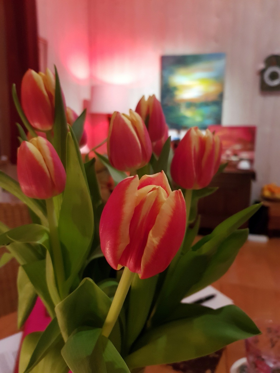 Spring fasting 2018, day 5