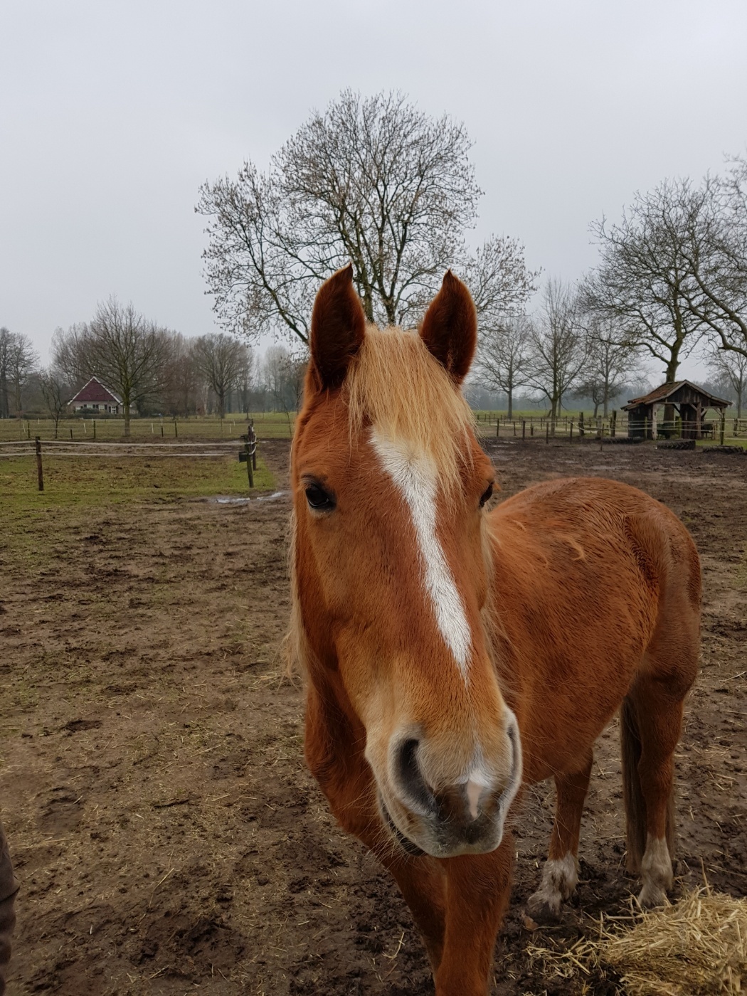 Moving house, round one & visit to Seppie