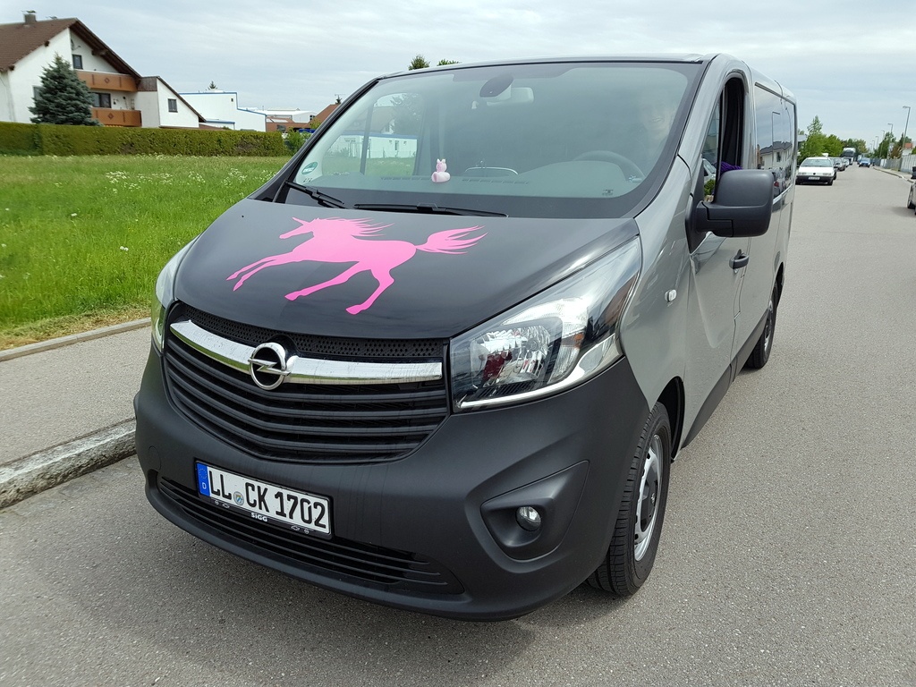 Our Vivaro bus is getting more and more beautiful