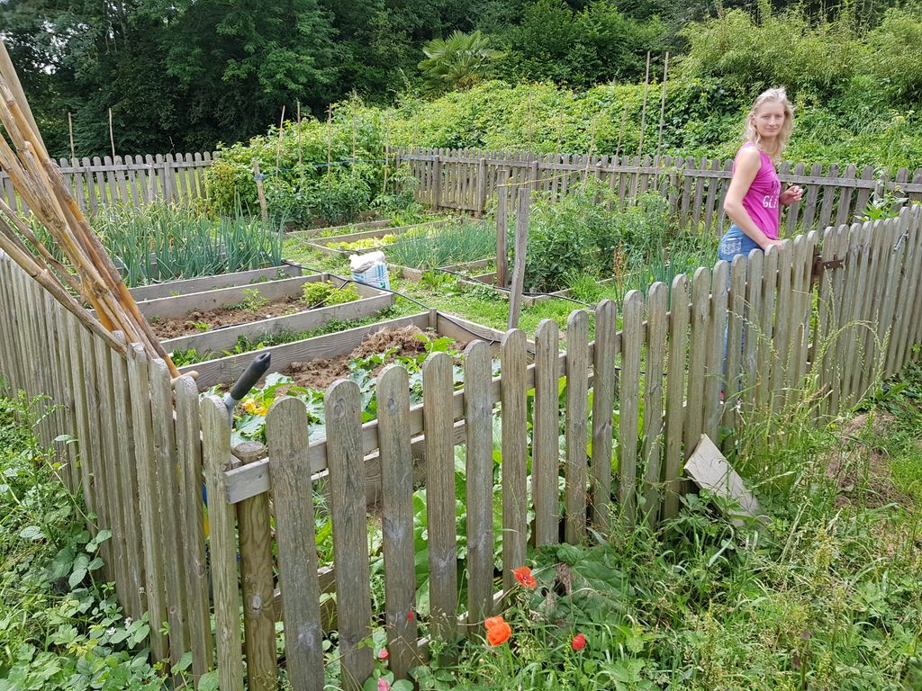 Vegetable garden