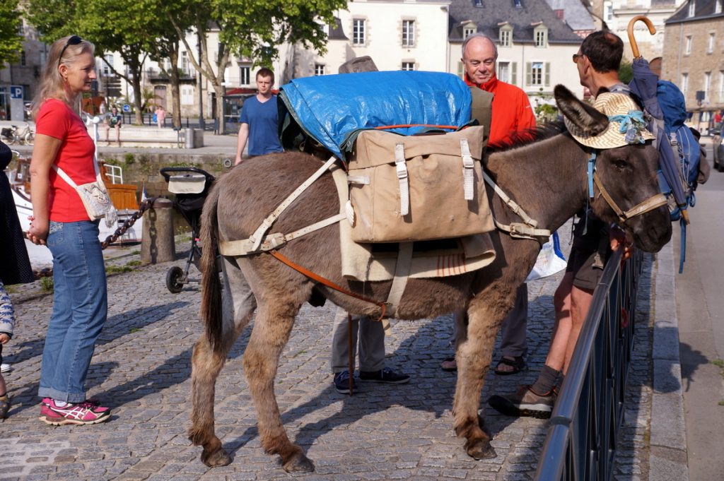 99 Walker with donkey