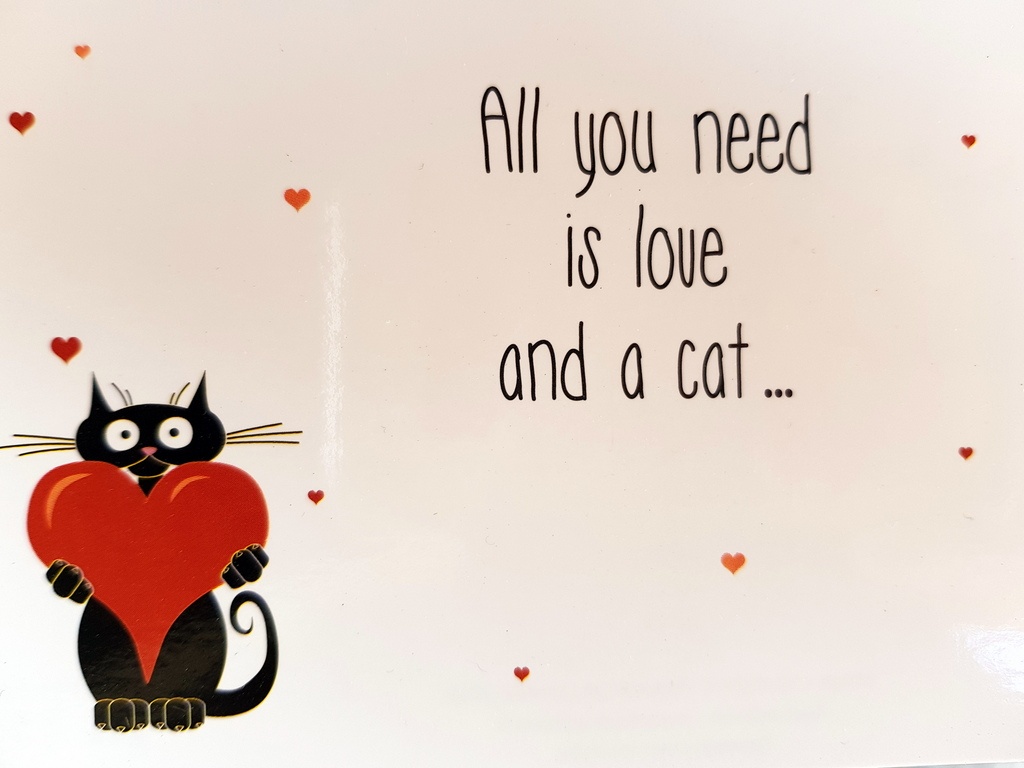 Summary of our house sit in Saint Perreux