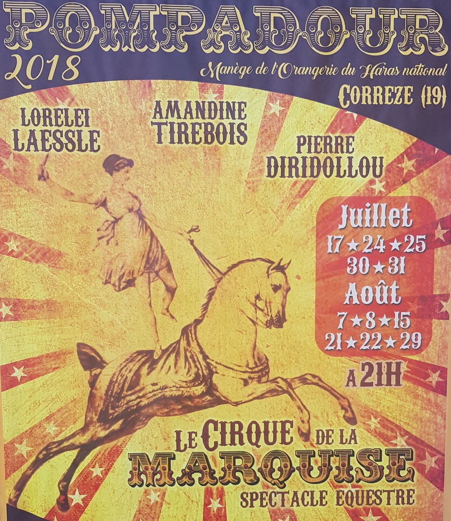 A day filled with horse activities