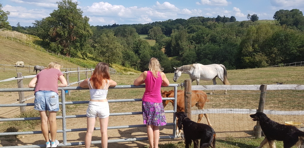 Summary of our house sit in Lubersac