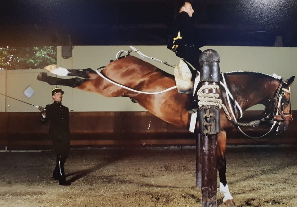 Picture taken from a picture at the Cadre Noir Picture taken from a picture at the Cadre Noir