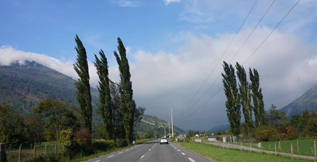 It gets cloudy and the wind picks up as we head for home.