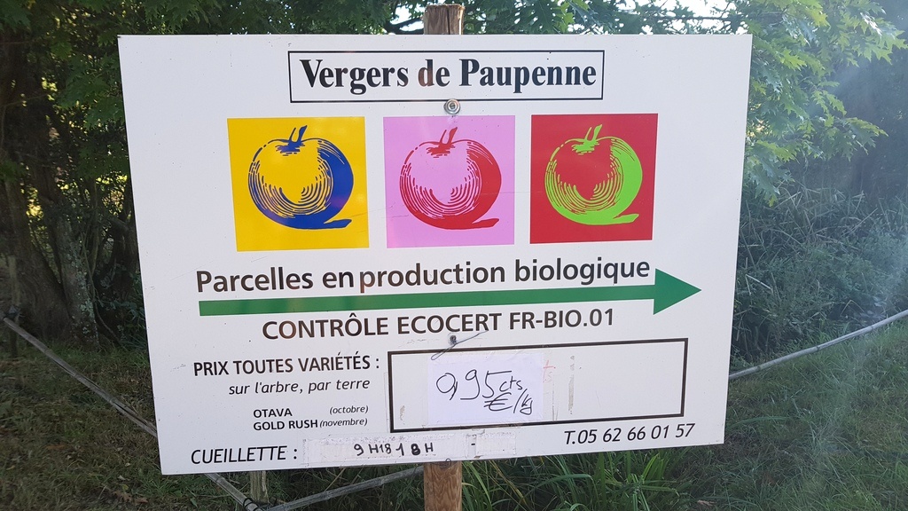 An excursion into Gascony, resulting in 12 kg of apples