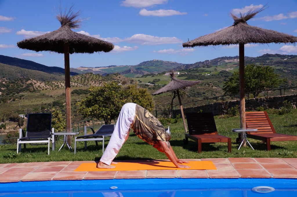 Adho Mukha Svanasana – Yoga exercise series; nr 6