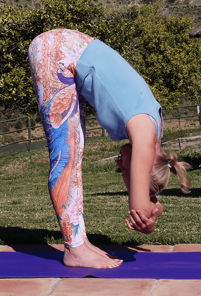 Uttanasana, holding elbows