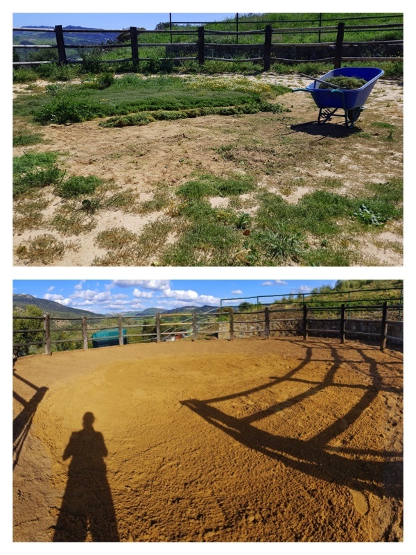 Roundpen Before After