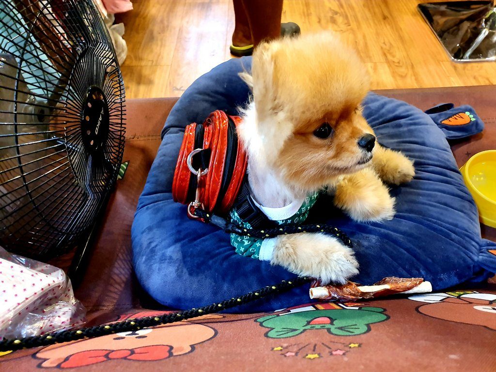 Chatuchak-Markt Chatuchak-Markt