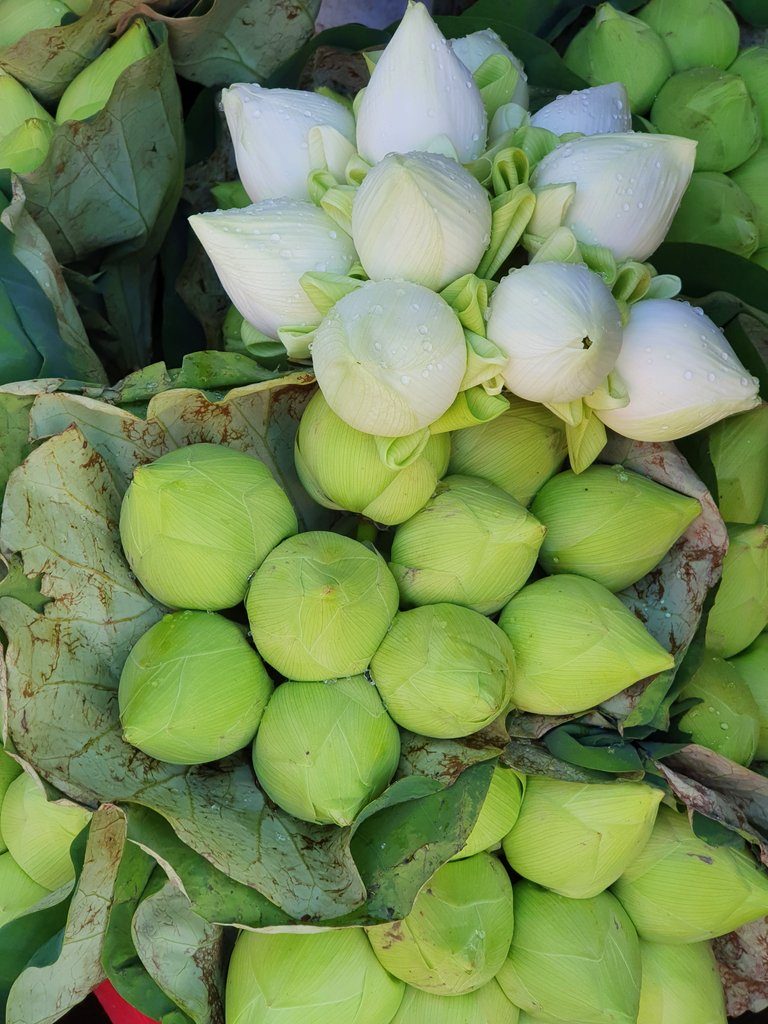 Warorot Market in Chiang Mai Warorot Market in Chiang Mai