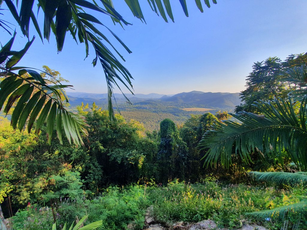 Visiting Wat Doi Jamjong, Roong Aroon Hot Springs and the Umbrella Center